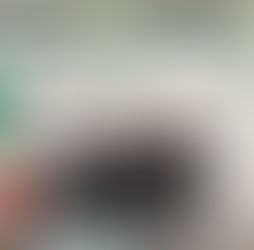 Gobierno Estatal promueve atractivos de San Luis ante Italia