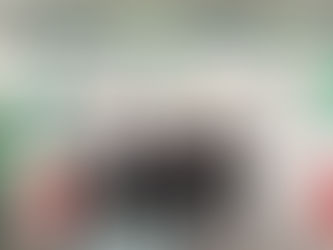 Gobierno Estatal promueve atractivos de San Luis ante Italia