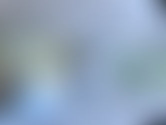 Llegan tarjetas de circulación ecológicas a la Huasteca