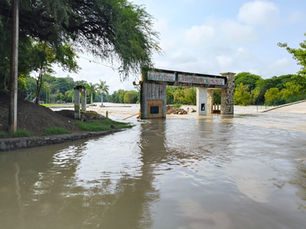 Agua seguirá llegando turbia por fallas en la planta potabilizadora: DAPAS