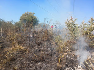 Sancionarán quema de basura por provocar incendios urbanos en Ciudad Valles