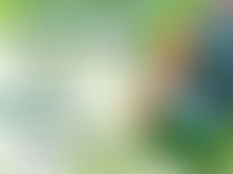 Gobierno habilitla puntos masivos de vacunación contra sarampión