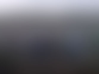 Frenan invasiones a predios en la Huasteca Potosina