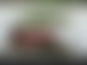 Tormenta 'Debby' Alerta a Georgia y Carolina del Sur