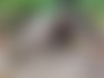 Restablecen paso hacia Río Florido y atienden emergencia en Paxquid