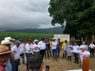 Cañeros de la Huasteca Potosina esperan respuesta a su petición para frenar la crisis del precio del azúcar