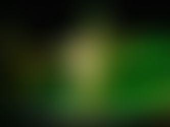 Feid hace historia en el Estadio GNP, pintándolo de verde con su energía y estilo