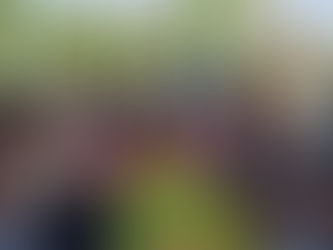 Fortalece gobierno estatal la defensa de los derechos indígenas