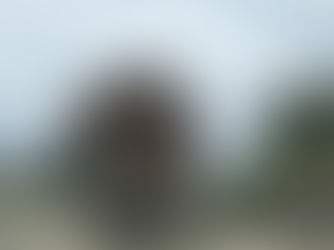 Transportistas de caña denuncian bajas tarifas y costos elevados