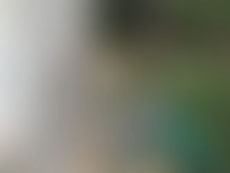 La mayoría de las comunidades de la zona indígena cuenta con suministro de agua