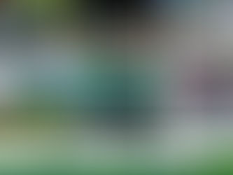 Guardia Civil Estatal recupera 10 unidades robadas y detiene a un joven