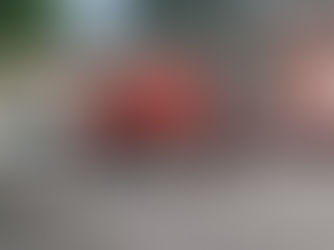 Colocan señalética en Xilitla para evitar ruido por fresnos de motor