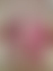 Profesor Napoleón Espinoza Méndez