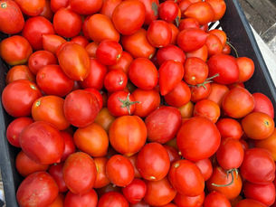 Alza en tomate y chile golpea el bolsillo; comerciantes reportan ventas estables