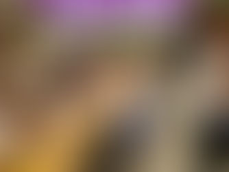 Decretan el 5 de octubre como el Día de las y los Maestros de Primaria