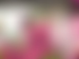 San Luis fortalece la educación indígena con inversión histórica