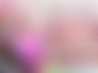 Del 16 al 22 de febrero se realiza el registro a las Pensiones Mujeres Bienestar y Adultos Mayores: Ariadna Montiel 