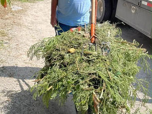 Avanza 80% la limpieza y desazolve de arroyos en Ciudad Valles; llaman a evitar tirar basura