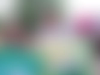 El instituto potosino de la juventud impulsa oportunidades para jóvenes en la Huasteca 