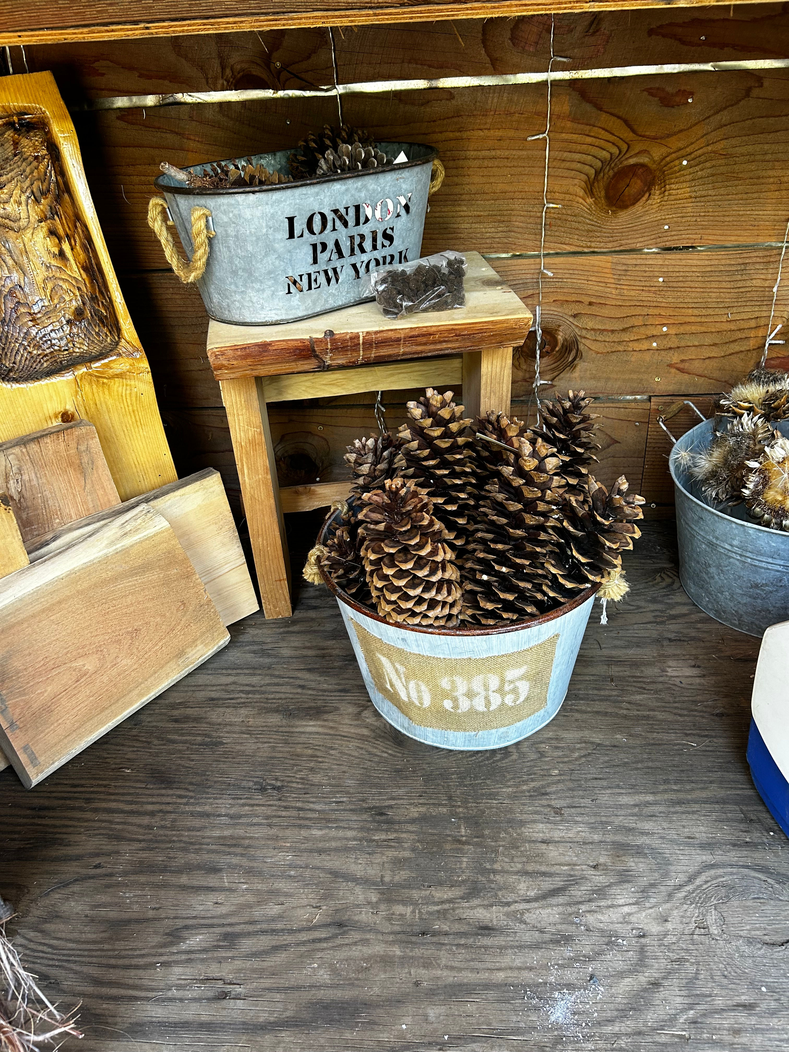 Decorative pinecones gathered in the Sierra foothills