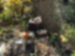 upload.jpeg