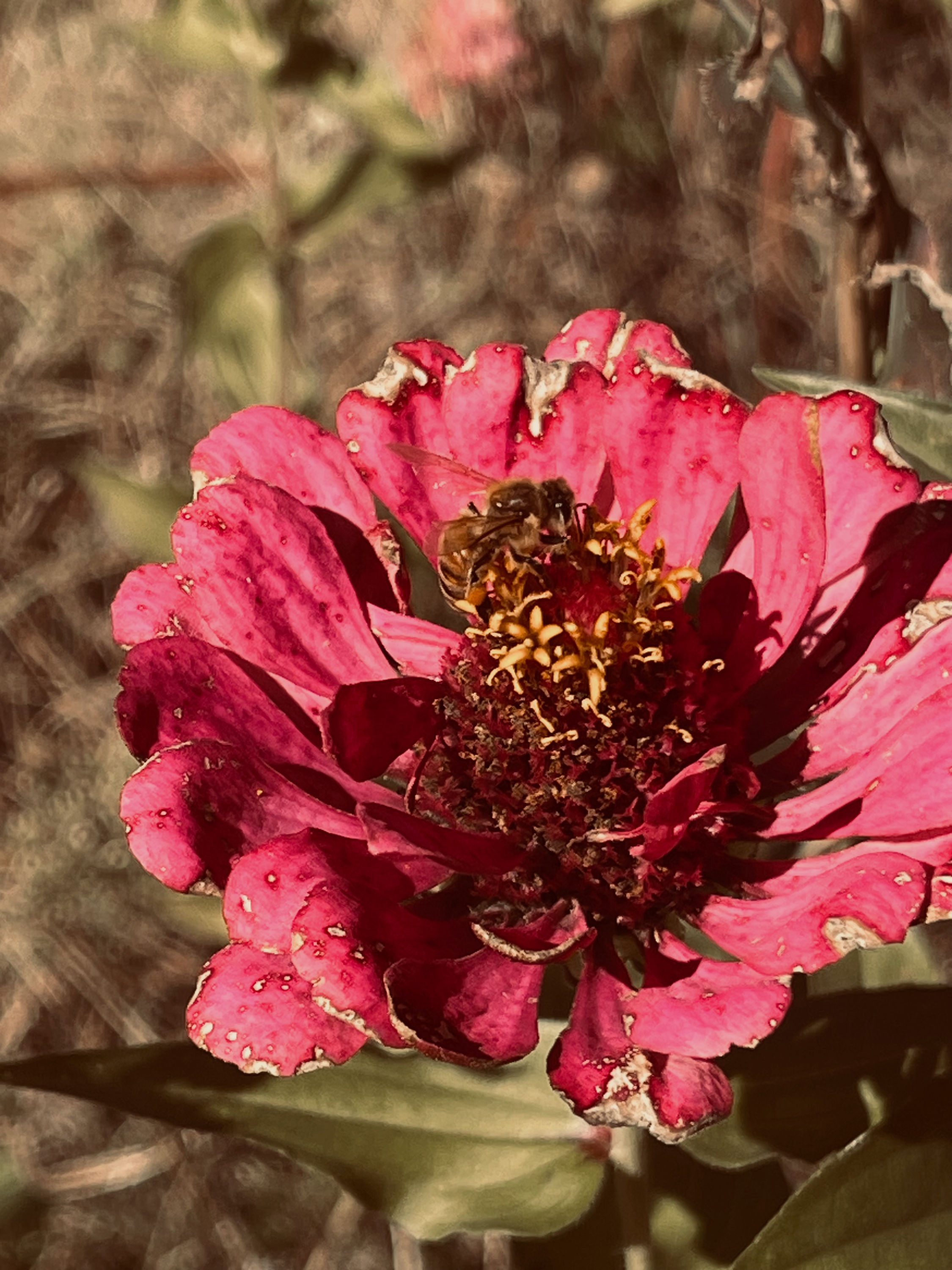 Seasonal Wildflowers