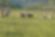 DSC02323.JPG