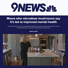 9 News