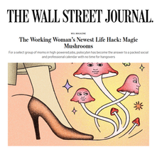 The Wall Street Journal