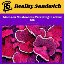 Reality Sandwich