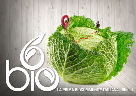 6bio - Cibo di un Certo Genere