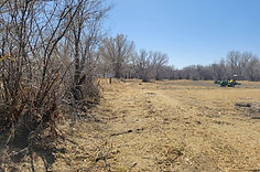 After: Irrigation Ditch