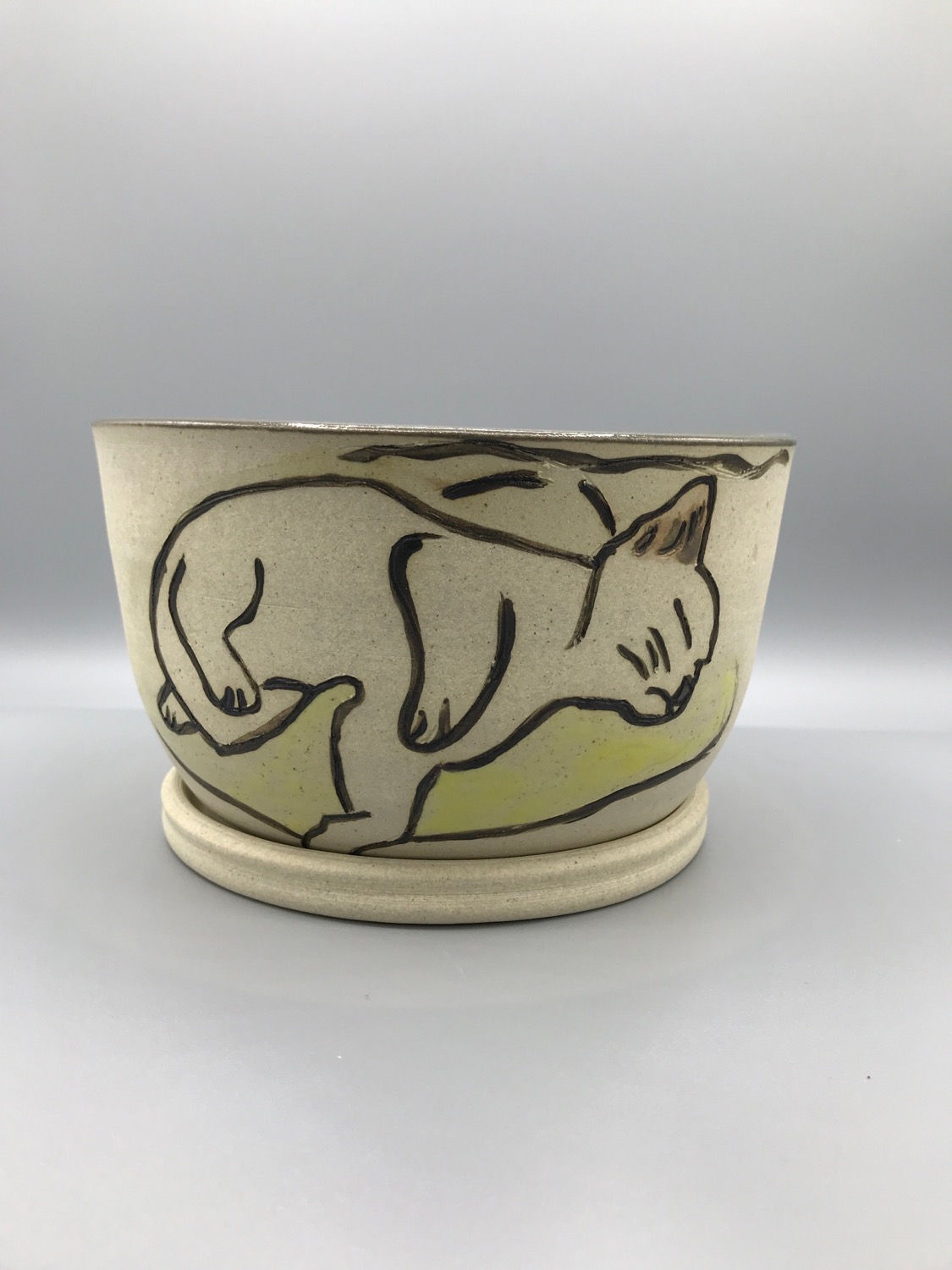 #C006 Sleeping Cat (Light green)