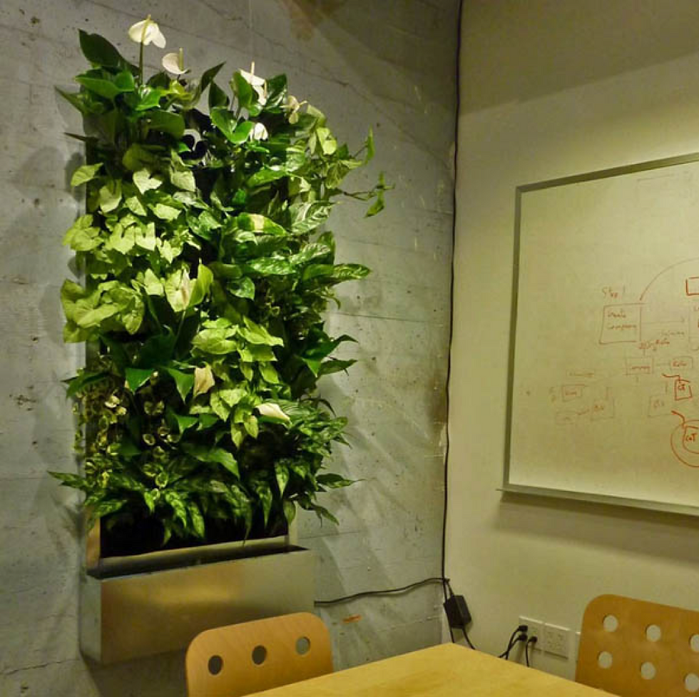 Small Scale Vertical Garden