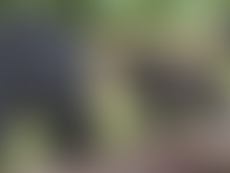 クマに合わないためにどうしたら良いか？ 効果的なクマ対策と遭遇回避方法