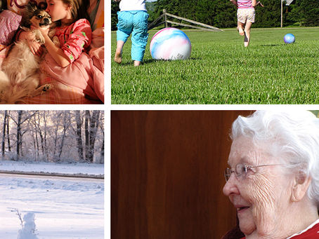 Project 365: Finding Beauty in the Everyday