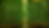 fundo bambu.png