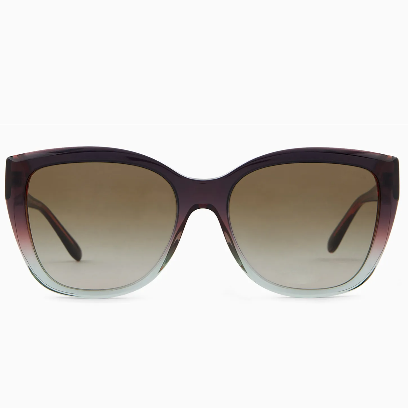 Emporio Armani EA 4198 59898E  55 Güneş Gözlüğü