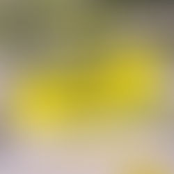 3-917 Cartier Boulevard: 2 Bedroom (Hawkesbury)