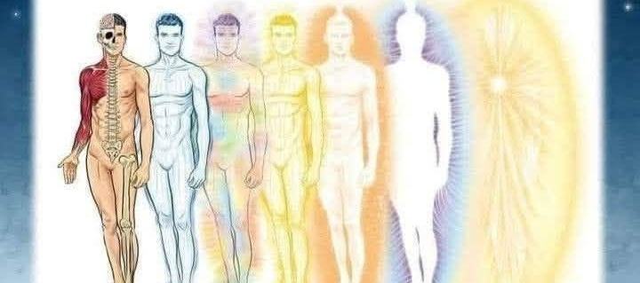 Os Sete Corpos do Homem