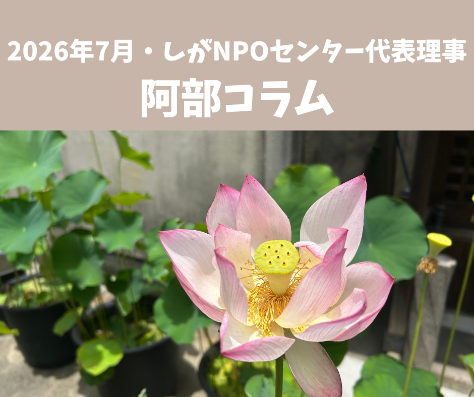 暑さの中でも美しく咲くハスの花