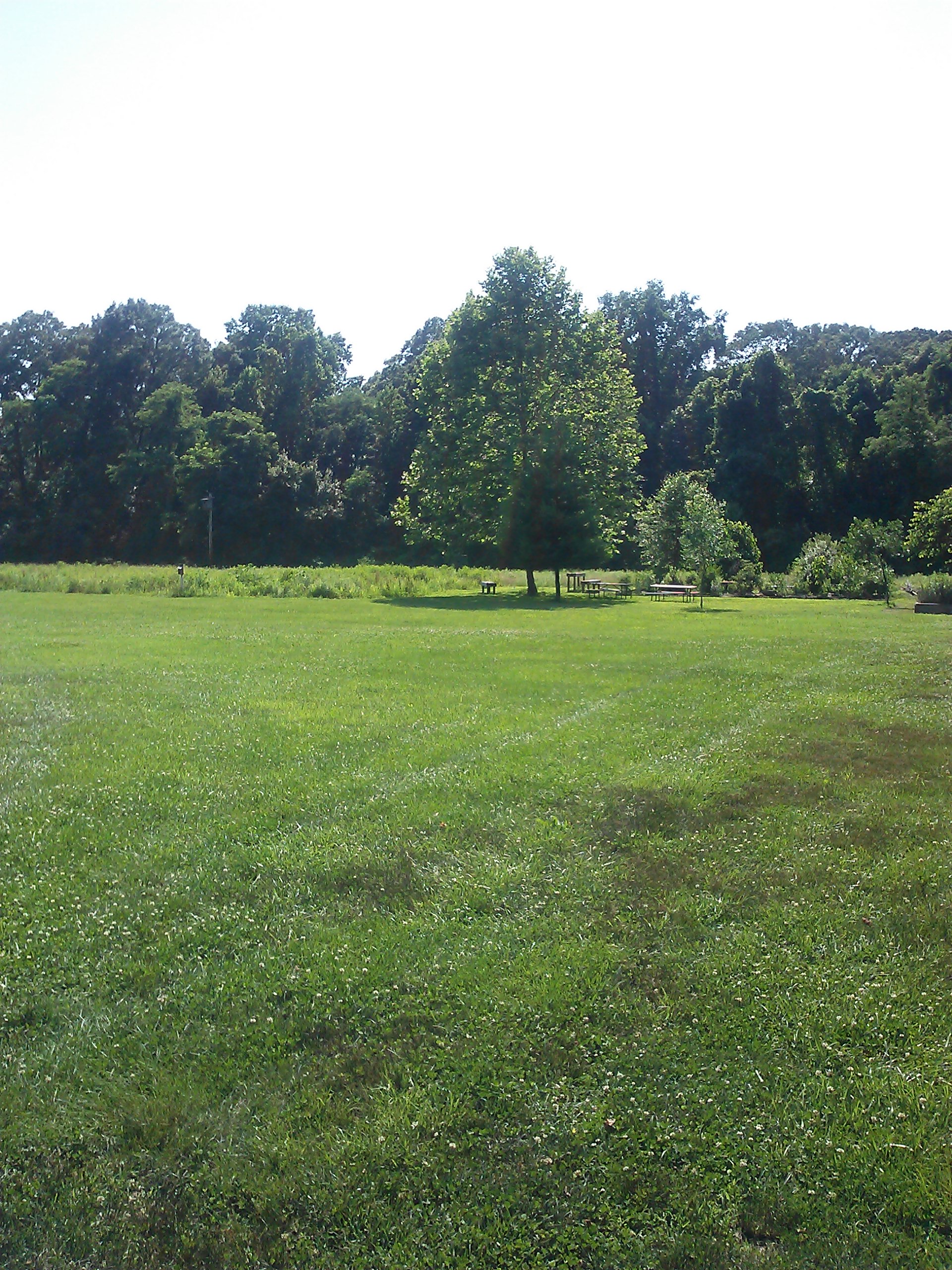 CAM00013.jpg
