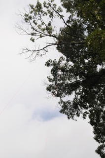 DSC_4156.jpeg