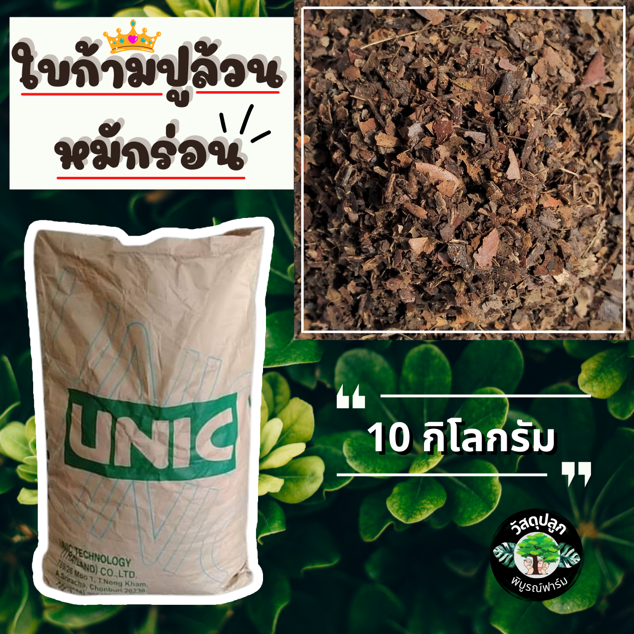 ใบก้ามปูหมักร่อน ใบก้ามปูล้วน 100% กระสอบ 80 ลิตร 10 กิโล