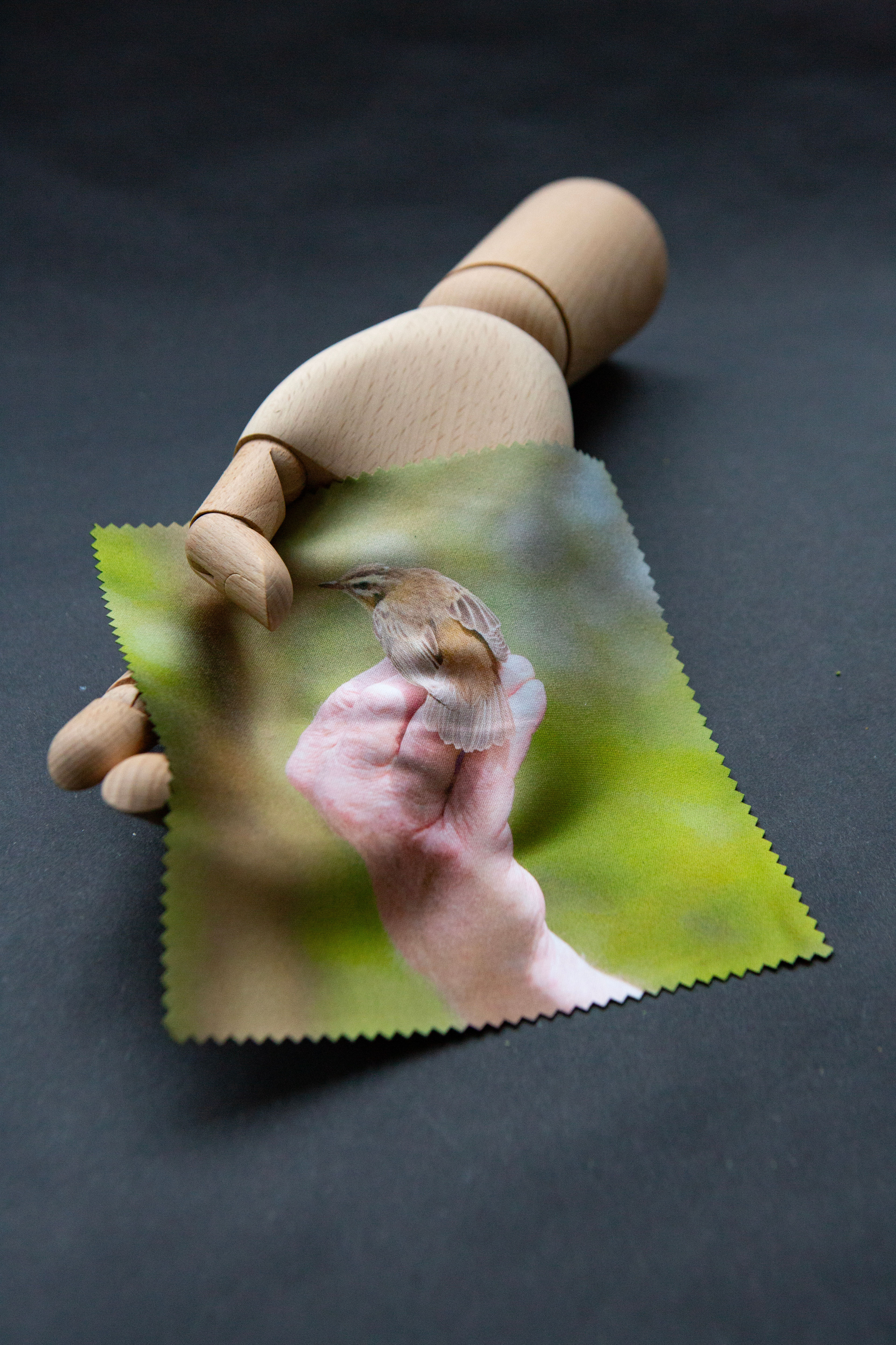 Sedge Warbler Lens Cloth