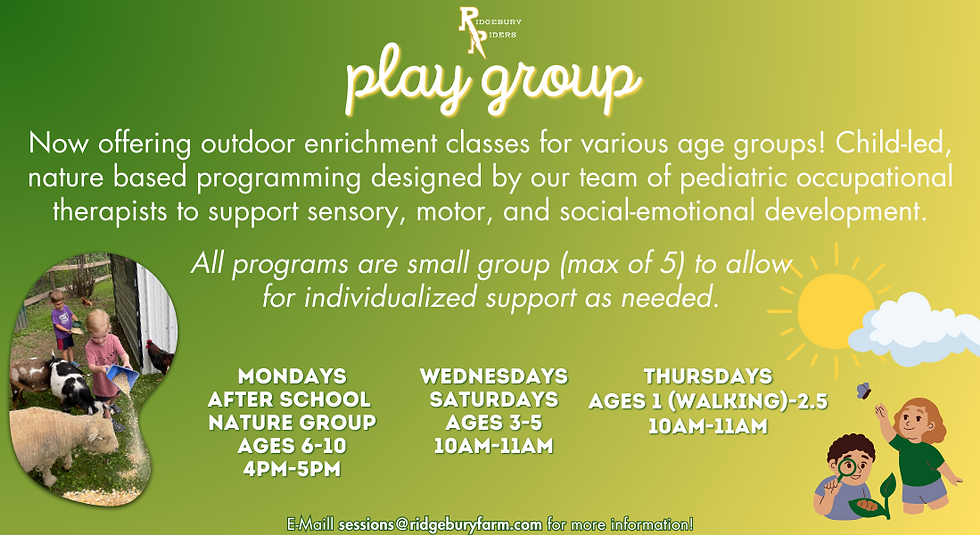 Tiny Explorers Nature Based Play Group