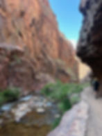 People hiking in the Grand Canyon