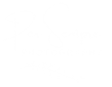 [Oorspr. grootte] Per Sempre.png