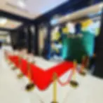 VIP red carpet rental with golden stanchions and red velvet ropes in Chicago area by Yello