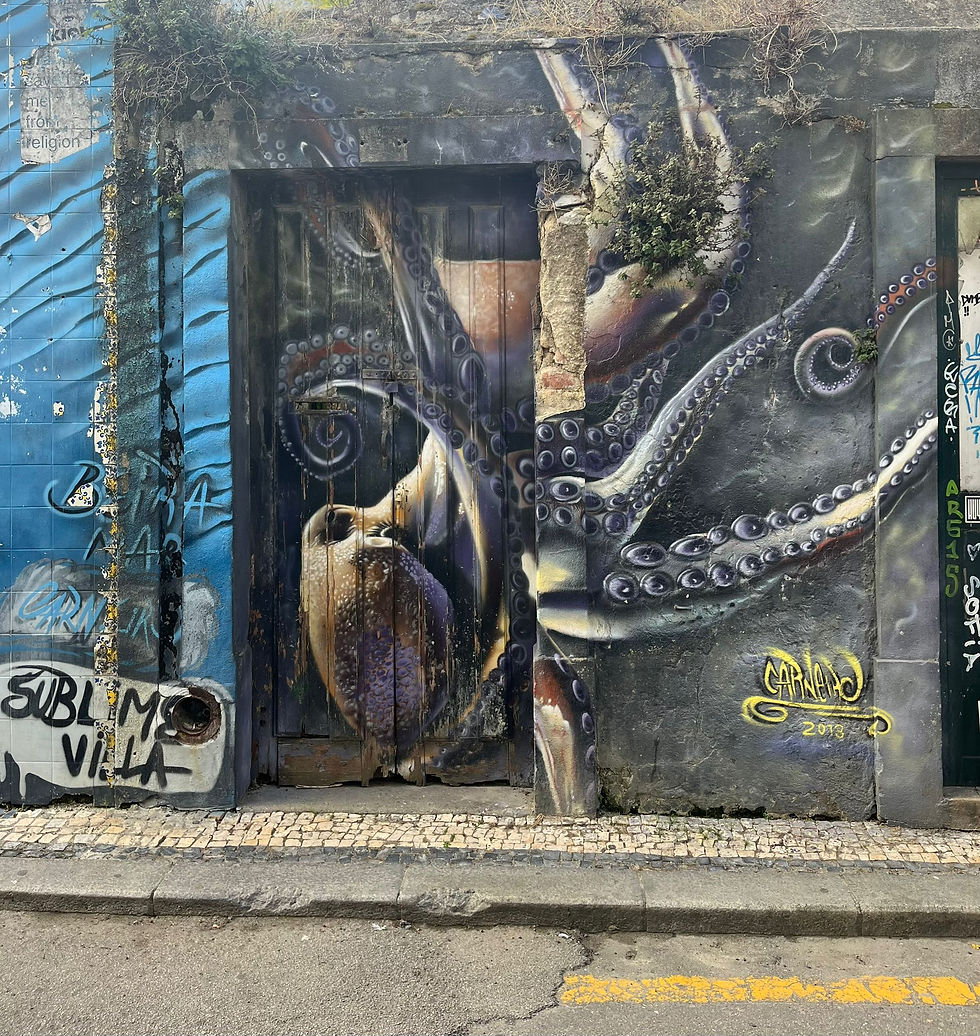 Aveiro's street art graffiti